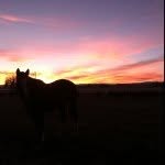 Martha Louise Francis - @m.l.francis_maker - Instagram