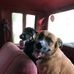 Francis McGee - Facebook