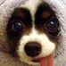Francis Mcgee - Facebook