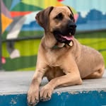 Francis McGee Zuniga - @evrybuddyluvsfrank - Instagram