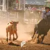 Francisco Moser - @moserfrancisco16 - TikTok