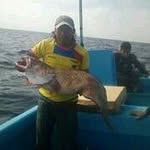Francis Orrala - @francis_orrala - Instagram