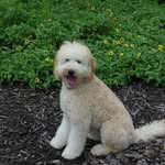 Frances Proctor - @proctorf01 - Instagram