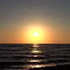 Francisproctor - @francisproctor - TikTok