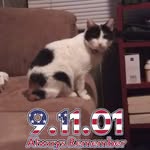 Francis Ann Stapleton - @stapleton731 - Instagram