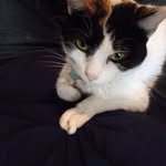 Francis Ann Stapleton - @francis.stapleton - Instagram