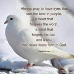 Francis Stephen - @francisstephen84 - Instagram