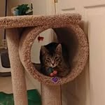 Francis Tam - @francis.tam.908 - Instagram