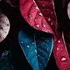 Frances Terrell - @frances.terrell - TikTok