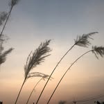 @francis_tutor101 - Instagram