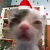 Francis Vu - @francis.vu7 - TikTok