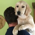 Francis Wayne - @st.franciswayne - Instagram