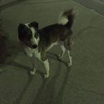 Francis Webb - @franciswebb72 - Instagram
