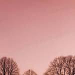 Francis_Wise - @francis_wisel - Instagram