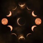 Francis Wise - Facebook