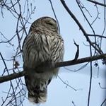 Francis Wright - @francis.wright.7161 - Instagram