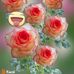 Francisca Abel - Facebook
