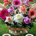 Francisca Abel - Facebook