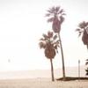 francisca_bailey90 - @francisca_bailey90 - TikTok