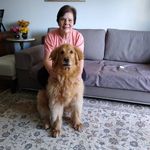 Francisca D Alambert - @franciscadalambert - Instagram
