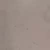 Francisca Arthmann - @franciscaarthmann68 - TikTok