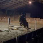 Francisca Meyer - @_fran_equi_ - Instagram