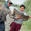 el pescador - @franciscoabel895 - TikTok