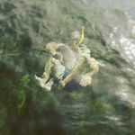 Francisco Alejandro jim - @francisco_alejandro_jim - Instagram