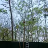 Francisco - @francisco.de.leon133 - TikTok
