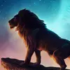 Francisco De León - @francisco.de.len43 - TikTok