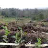 Francisco Deleon - @francisco.deleon38 - TikTok