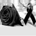 Francisco Deleon - Facebook