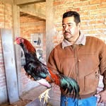 Francisco La Catrina Duron - @francisco.duron.71 - Instagram
