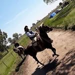 Francisco Gimenez - @franciscogimenez678 - Instagram