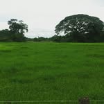 Francisco Gimenez - @fagimenez - Instagram