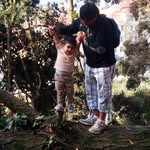Francisco Jauregui - @francisco_jauregui0 - Instagram