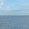 Francisco Lopes16036 - @franciscolopes456 - TikTok