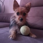 Francisco Escobar Lorite - @franciscoescobarlorite - Instagram