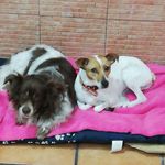 Francisco Poyatos Lorite - @poyatoslorite - Instagram