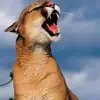 Francisco Lua - @franciscolua3 - TikTok