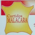Francisco Malacara - Facebook