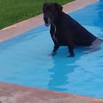 Francisco Malacara - @francisco.malacara.526 - Instagram