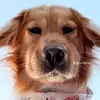Francisco Mann - @francisco.mann8 - TikTok