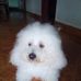 Francisco Marcano - Facebook