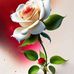 Francisco May Ucan - Facebook