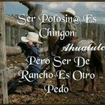 Francisco Ocasio Velazquez - @waldorodriguez0173 - Instagram