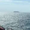 franciscopineiroa - @franciscopineiroa - TikTok