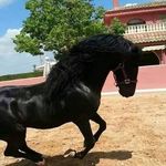 Francisco Plata Rodriguez - @franciscoplatarodriguez - Instagram