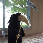 Francisco Plata Silva - @franciscoplatasilva - Instagram
