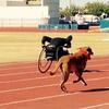 Francisco Postlethwaite Muñoz - @francisco.postlet - TikTok
